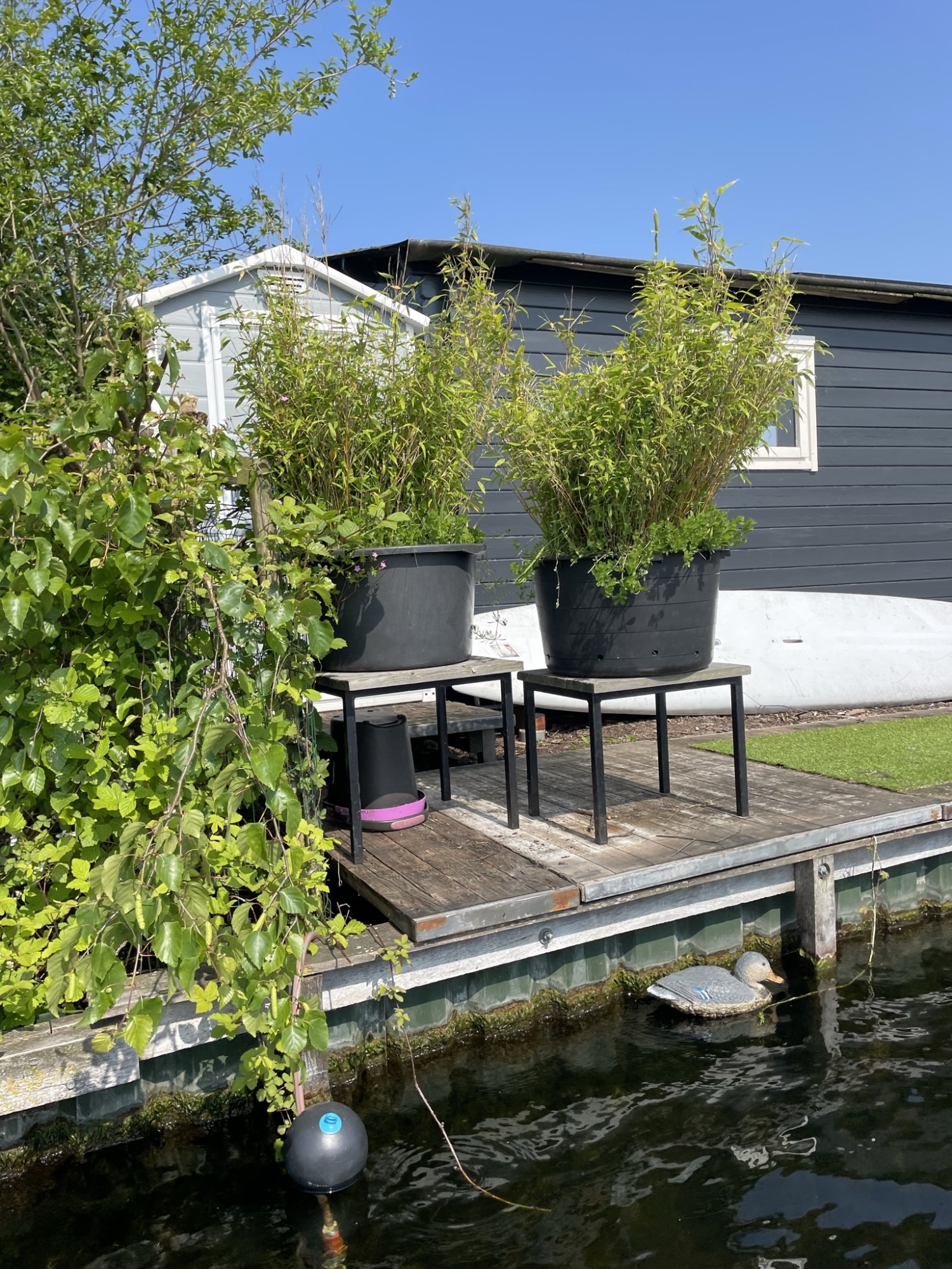Cottage Zuid — 7