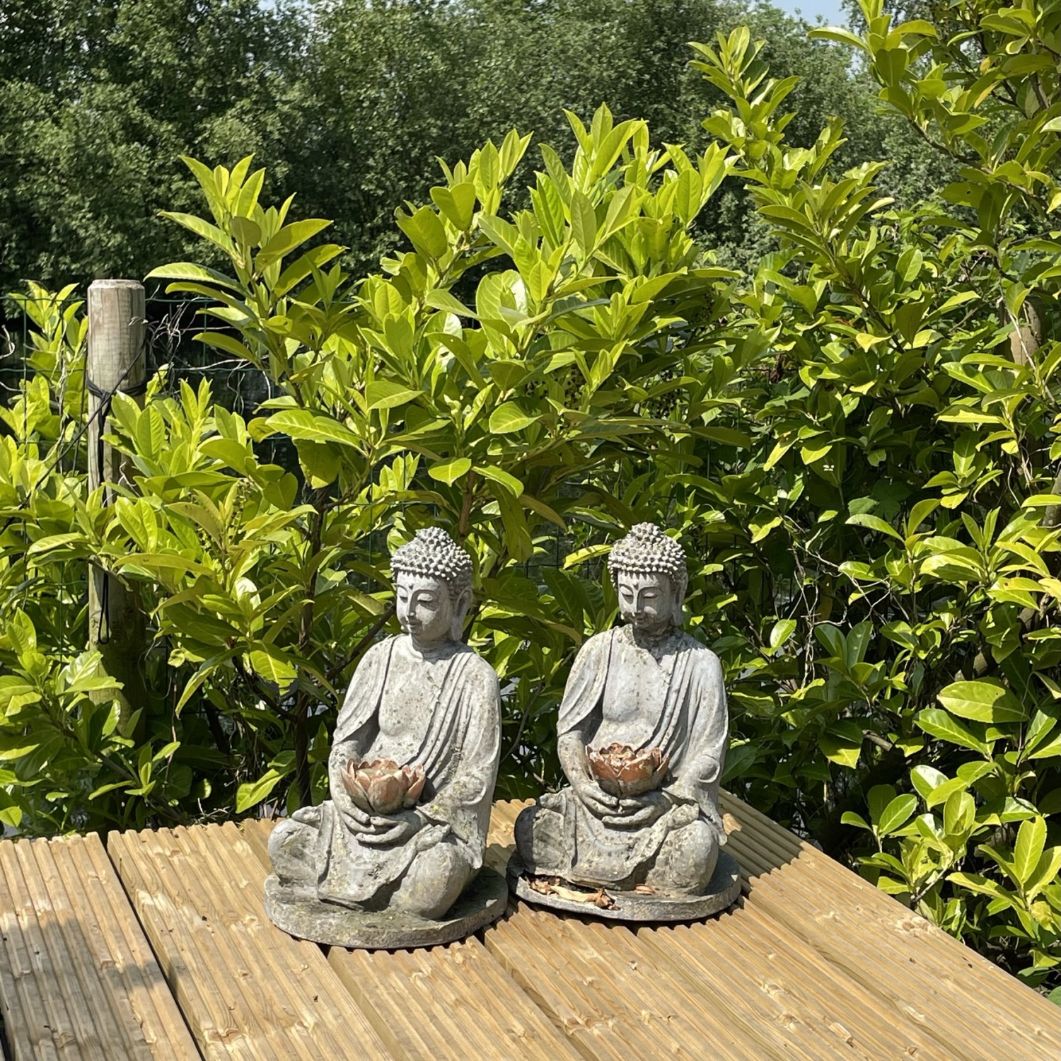 Cottage Zuid — 15