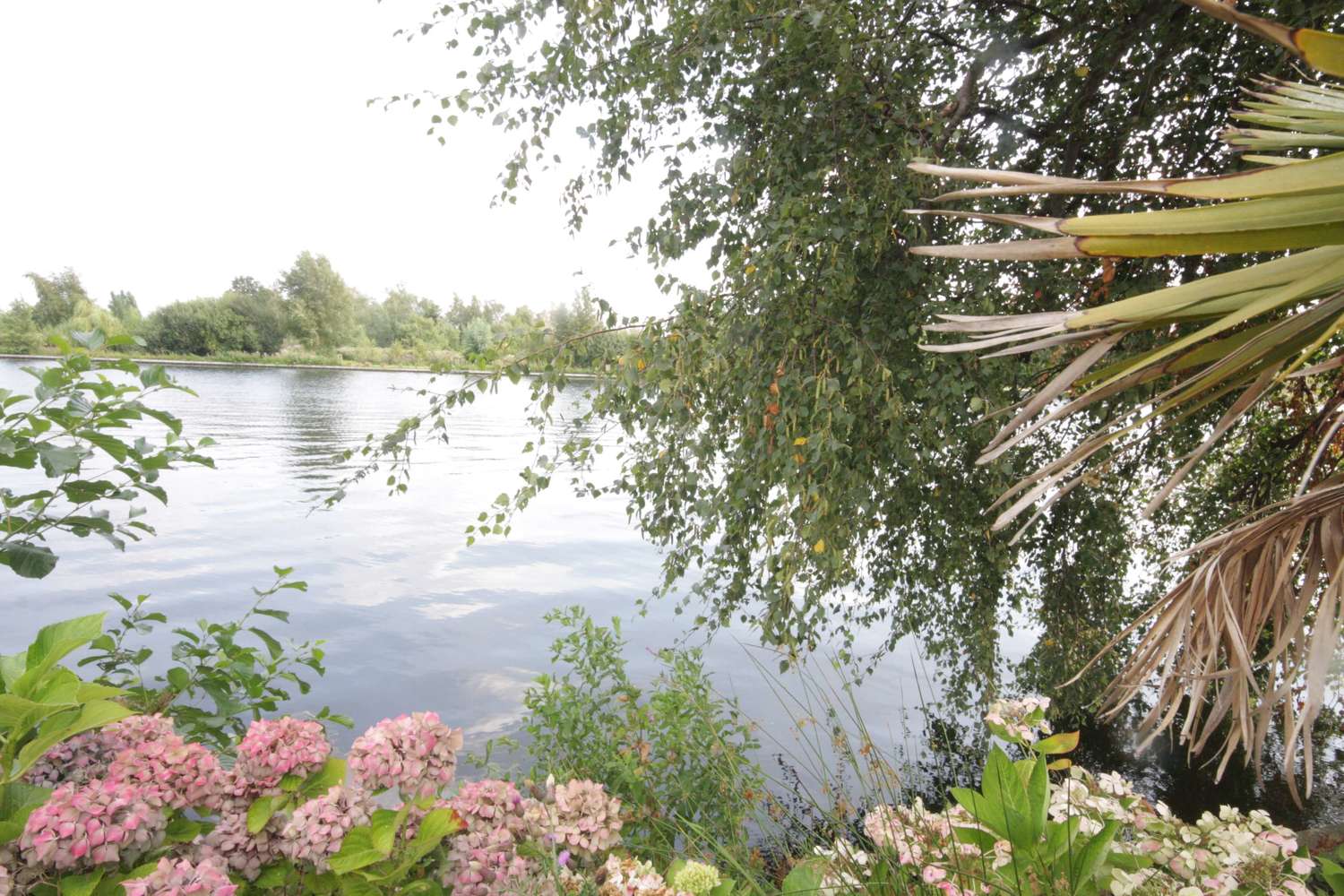Cottage Noord — 11